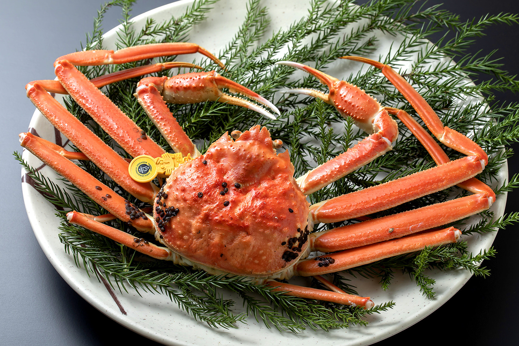 越前蟹が解禁しました！