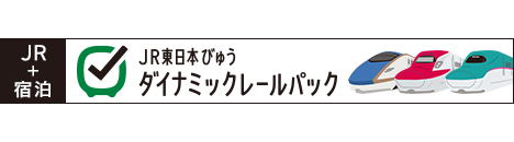 JR東日本びゅう ダイナミックレールパック