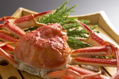 １杯蟹イメージ